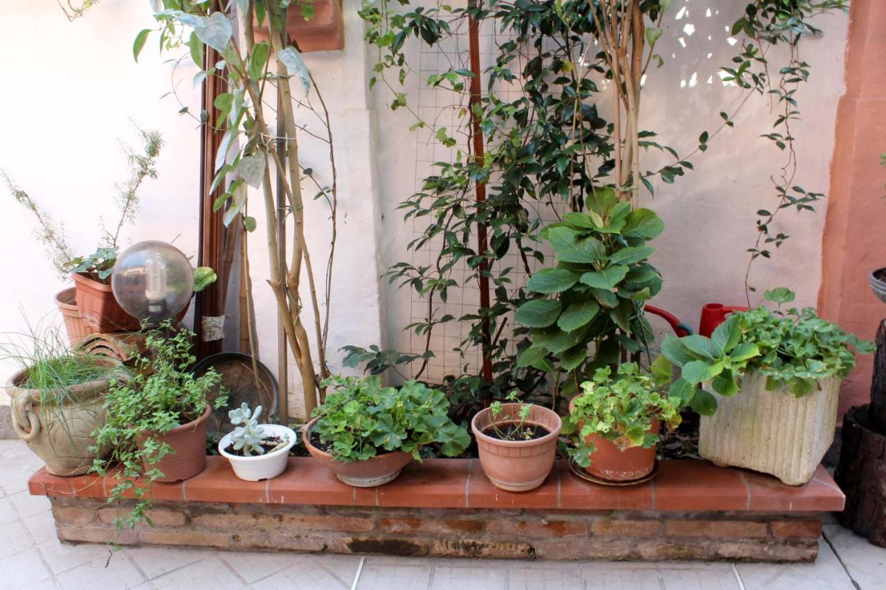 Porta Del Carmine Bed & Breakfast Comacchio Ngoại thất bức ảnh